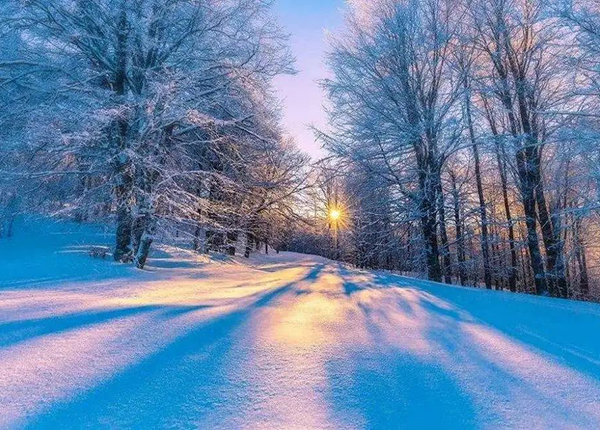 新彩网||大雪至，寒冬始